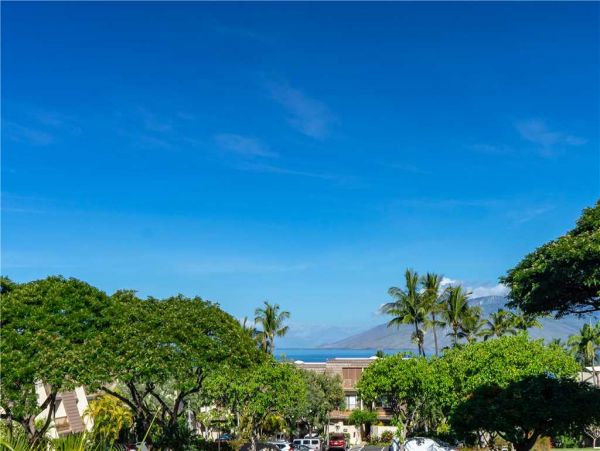 Wailea Condo 959152