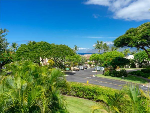 Wailea Condo 959152