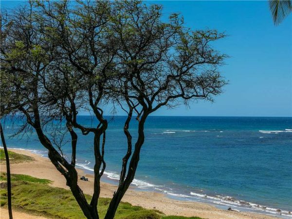 Kihei Condo 959153