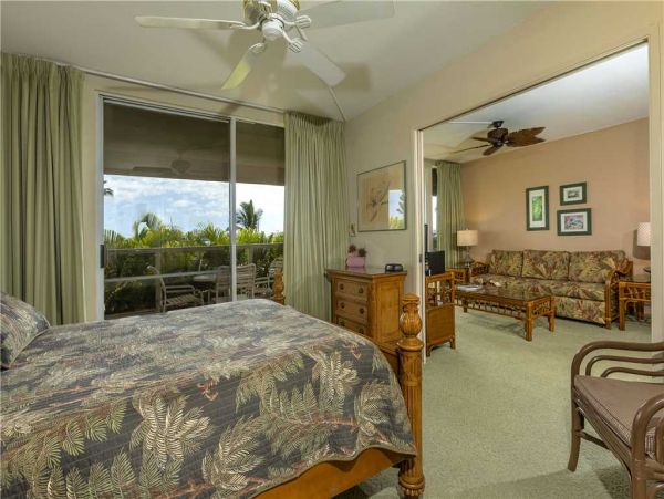 Wailea Condo 959154