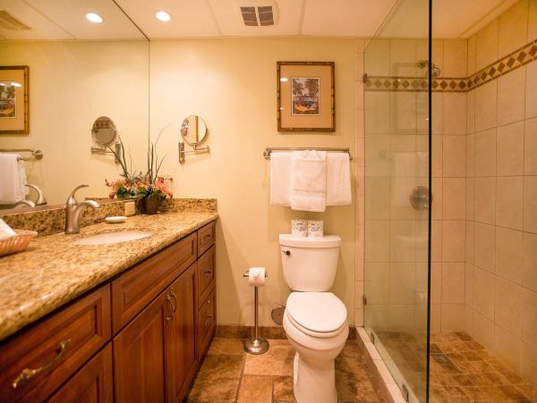 Ocean View 1 Bedroom Condo in Kaanapali