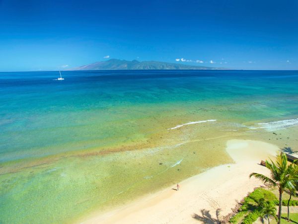 Ocean View 1 Bedroom Condo in Kaanapali