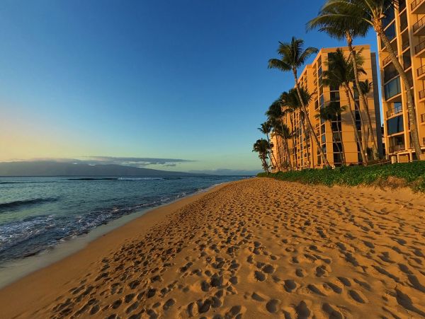 Kaanapali Vacation Condo One Bedroom On Beach