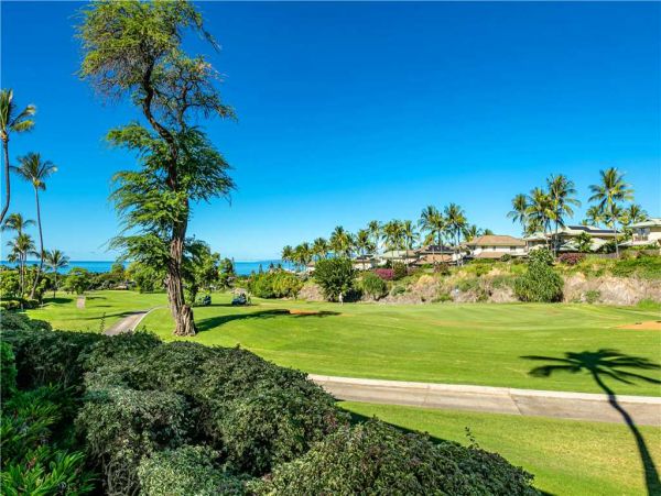 Wailea Condo 959167