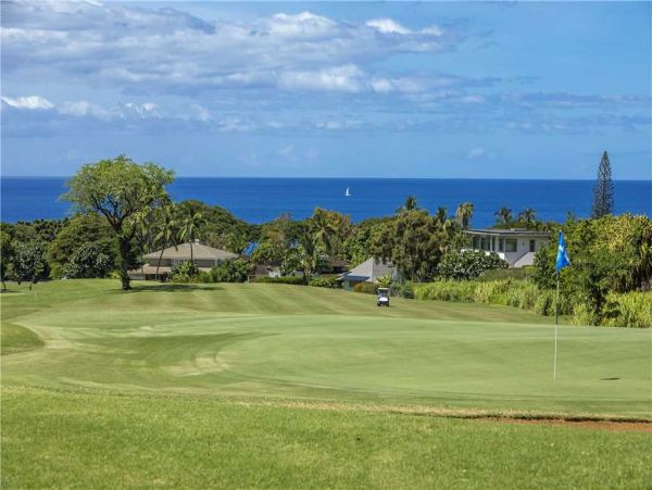 Wailea Condo 959167