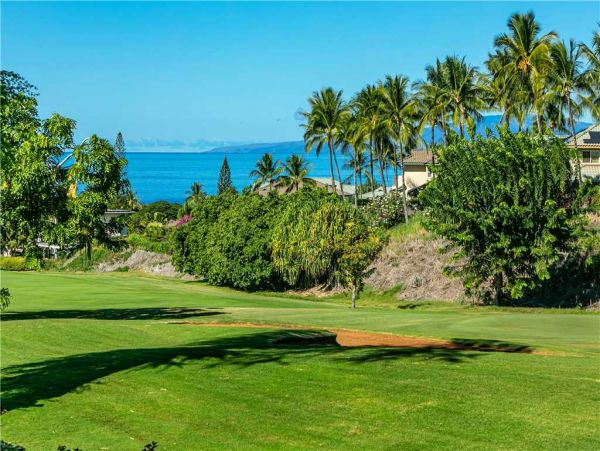 Wailea Condo 959167