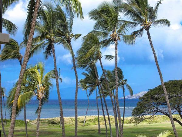 Kihei Condo 959198