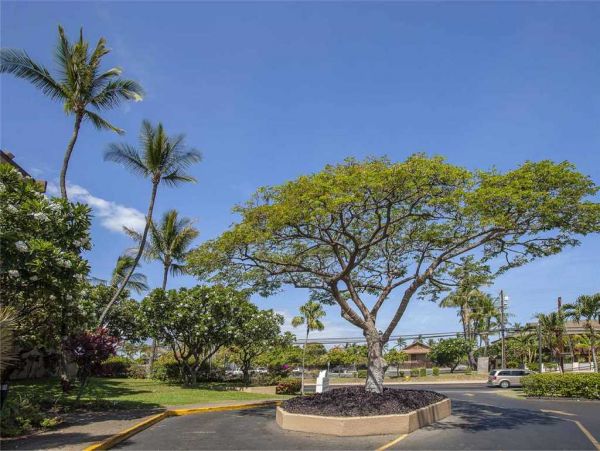 Kihei Condo 959203
