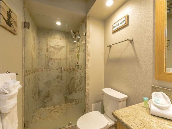 Wailea Condo 959220
