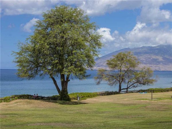 Wailea Condo 959220