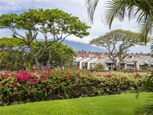 Wailea Condo 959223