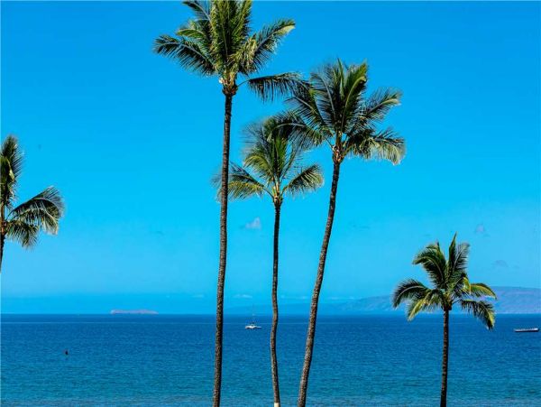 Kihei Condo 959228