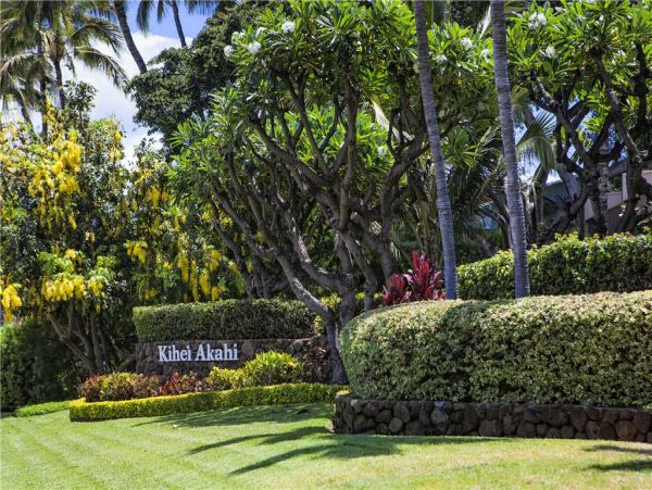Wailea Condo 959232