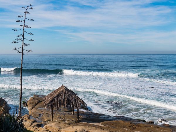 La Jolla Condo 959248