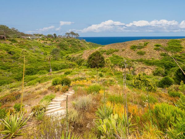OCEAN VIEW 3 BEDROOM LA JOLLA HOME