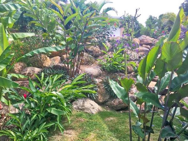 Guadeloupe Home 959285