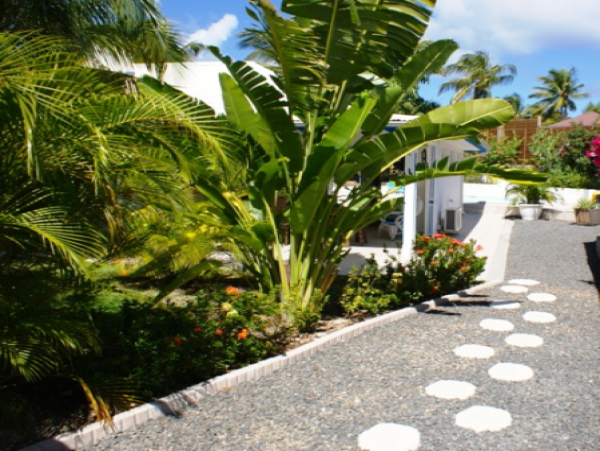 Guadeloupe Home 959287