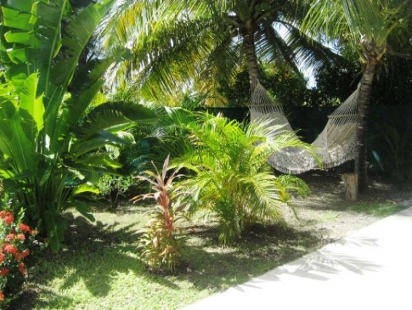 Guadeloupe Home 959287