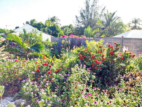 Guadeloupe Home 959290