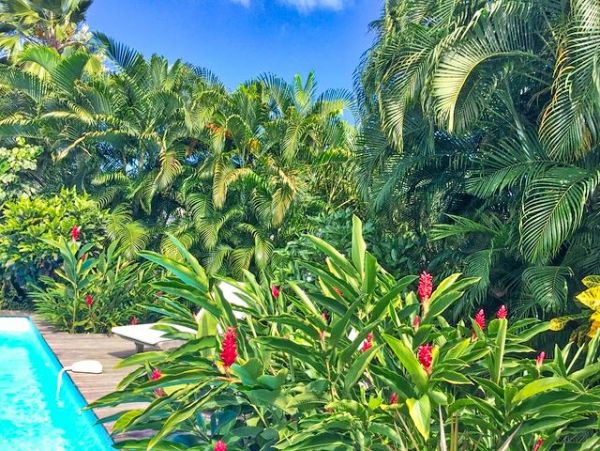 Guadeloupe Home 959297