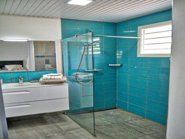 Guadeloupe Home 959299