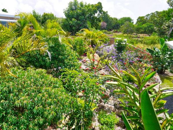 Guadeloupe Home 959299
