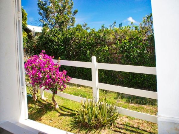 Guadeloupe Home 959304