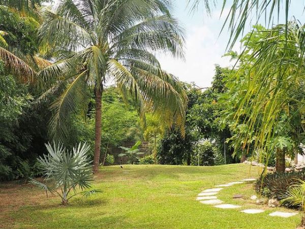 Guadeloupe Home 959306
