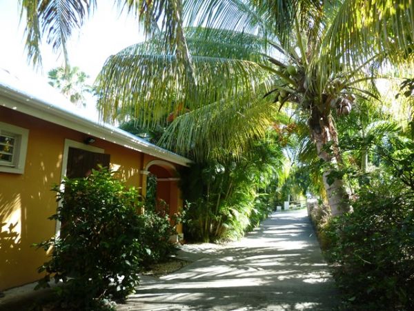 Guadeloupe Home 959308