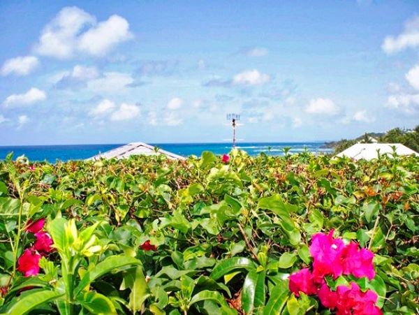 Guadeloupe Home 959309