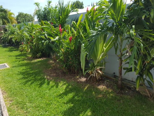 Guadeloupe Home 959312