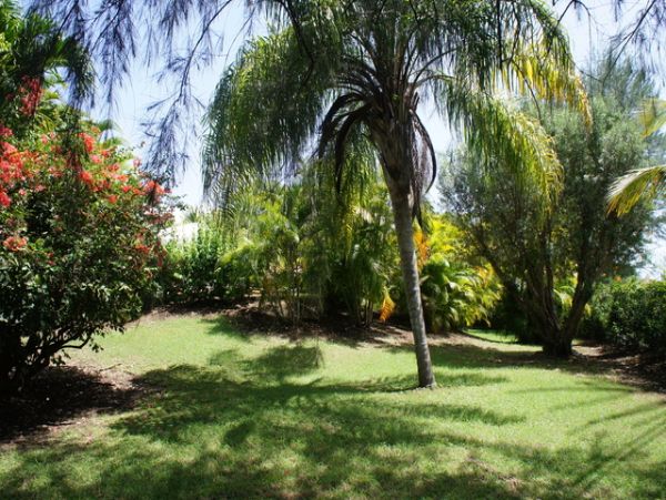 Guadeloupe Home 959318