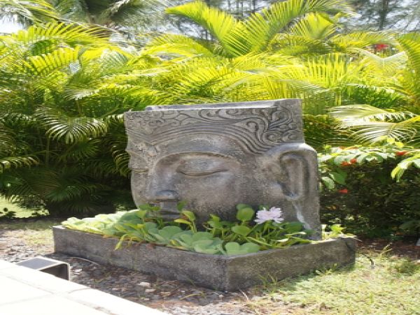Guadeloupe Home 959318