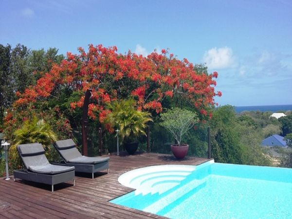 Guadeloupe Home 959321