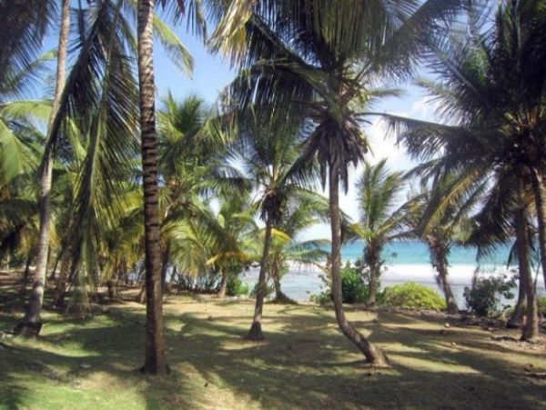 Guadeloupe Home 959328