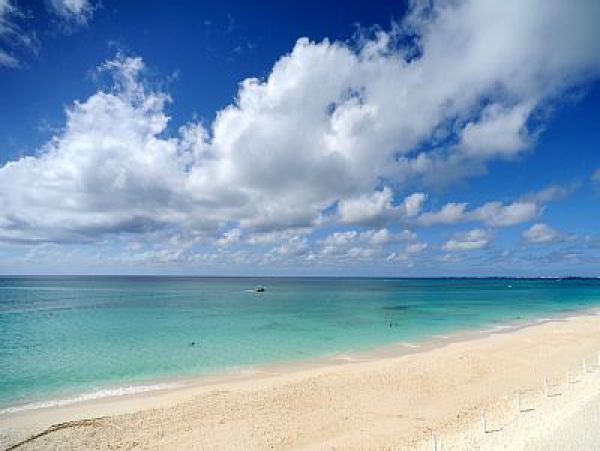 Cayman Islands Condo 959364