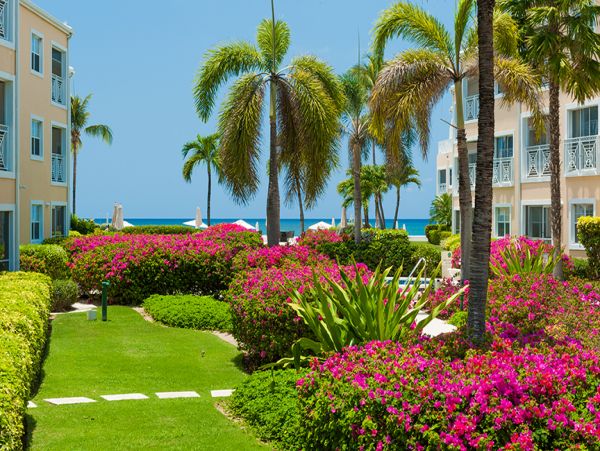 Cayman Islands Condo 959367