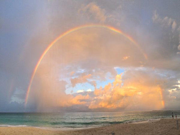 Cayman Islands Condo 959368