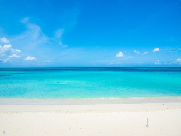 Cayman Islands Condo 959373