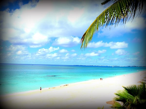 Cayman Islands Condo 959379