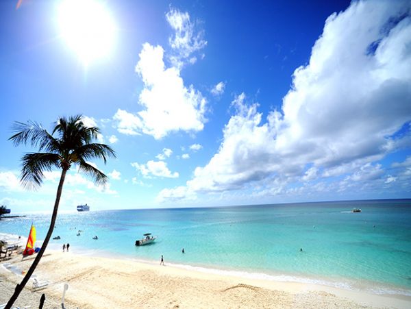 Cayman Islands Condo 959379