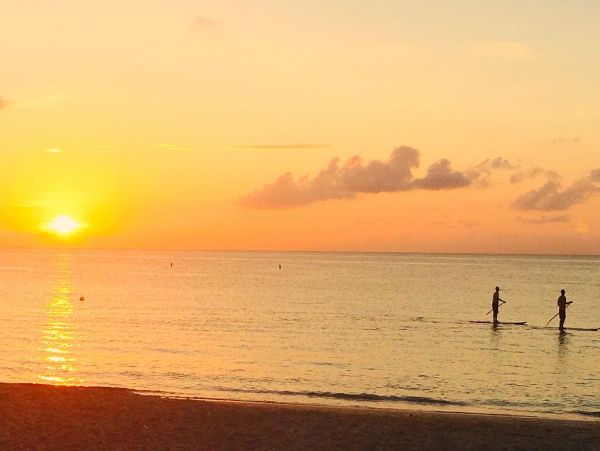 Cayman Islands Condo 959388