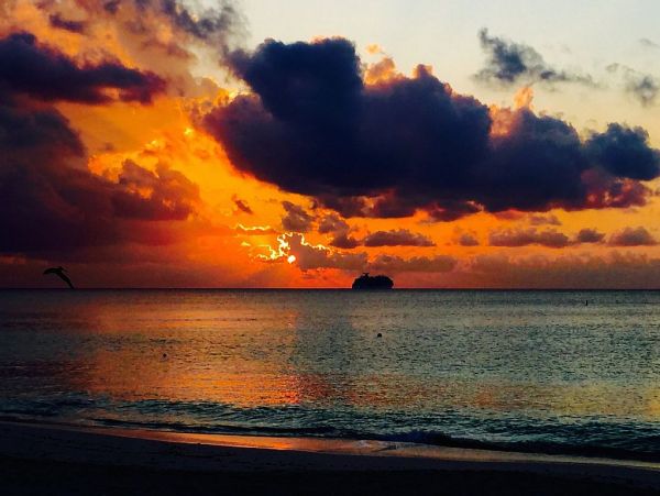 Cayman Islands Condo 959388