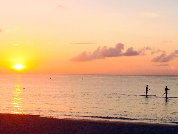 Cayman Islands Condo 959393