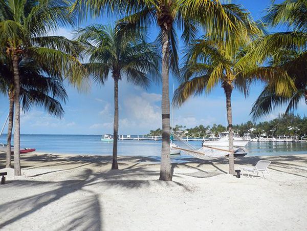 Cayman Islands Condo 959396