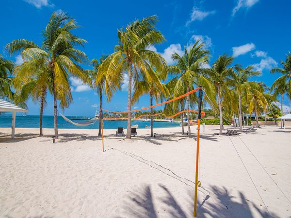 Cayman Islands Condo 959396