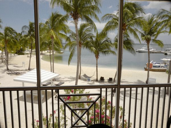 Cayman Islands Condo 959396