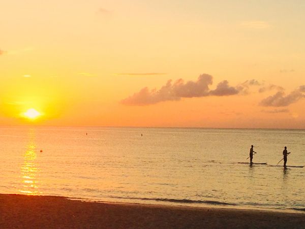 Cayman Islands Condo 959396