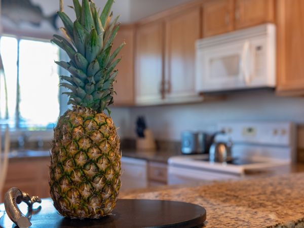 Cayman Islands Condo 959487