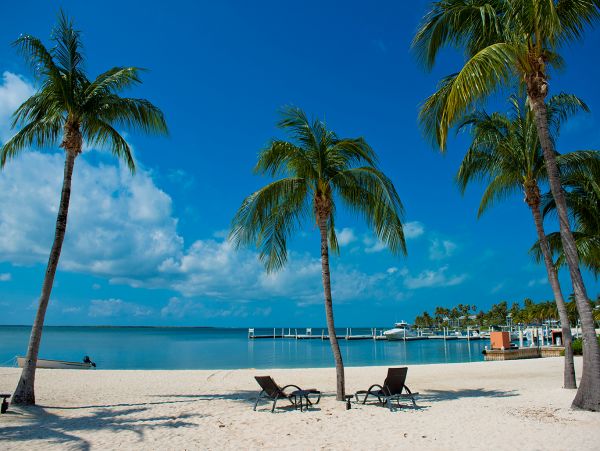 Cayman Islands Condo 959487